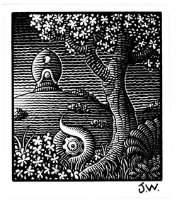 Original art: drawing from QUACKY